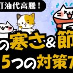 【2023-2024年最新版】猫の寒さ対策！同時に簡単にできる節電方法も詳しく解説