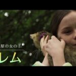 『ルー、パリで生まれた猫』本編映像②子猫のしつけ方 予告【9/29(金)全国順次公開】