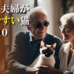 シニア夫婦が飼いやすい猫ベスト10