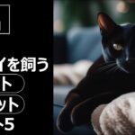 人気の猫 魅力解剖！ボンベイを飼うメリット・デメリットベスト5