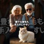 シニア夫婦が飼いやすい猫ベスト5 #shorts