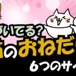 猫のこの仕草はおねだりや頼み事をしている！飼い主が気づいてあげたい6つのサイン