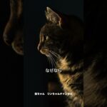 猫のしつけのポイント！生い立ちから学ぶ性格と行動 #shorts #猫のしつけ #ペットケア #猫の性格 #猫の行動特徴