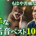 【ネコノネタ】もはや苦痛な雑音!?実は猫が苦手な生活音ベスト10