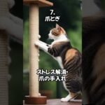 【ネコノネタ】すぐにアナタの虜・・猫が喜ぶことベスト20 その1～10 #shorts