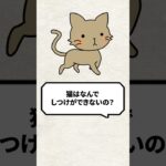 Q：猫ってなんでしつけができないの？ #猫 #ねこの気持ち #猫になりたい