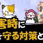 【猫への防災対策】被災した時に猫を守るための備えと準備を徹底解説