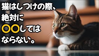 【ネコノネタ】猫はしつけの際、絶対に〇〇してはならない。