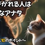 猫に好かれる人は〇〇なアナタです。猫が懐く10のポイント