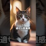 猫が懐く10のポイント  アナタは好かれる〇〇な人? #shorts