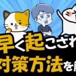 【必見】猫に早朝起こされて困っている時に試す6つの対策を解説
