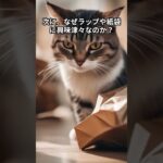 猫オモシロ雑学　知恵袋　＃shorts