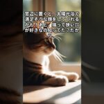 猫オモシロ雑学　知恵袋　＃shorts