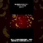 猫のしつけ基本講座爪とぎ・トイレトレーニング完全ガイド #shorts