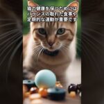 猫オモシロ雑学　＃shorts