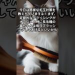 猫オモシロ雑学　知恵袋　＃shorts