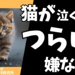猫が泣くほど辛いされたら嫌なこと