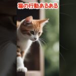猫の行動あるある #猫 #ねこの気持ち #ネコ #猫の日常 #猫のしつけ #猫ライフ #猫の健康 #猫の遊び方 #猫の癒し #猫の生活