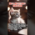 猫が人間にだけ使う秘密の言葉「ミャオ」の意味
