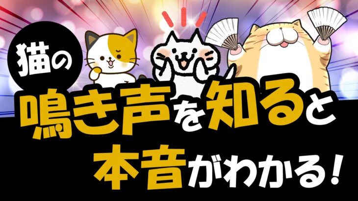 猫の鳴き声には種類がある！鳴き声でわかる猫の本音を解説