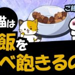 猫がご飯を食べ飽きるのは、野生時代から受け継ぐ「ある5つの本能」に関係している！