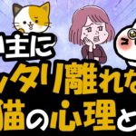 猫がベッタリそばから離れない心理と良い距離感を保つための対処法を解説！