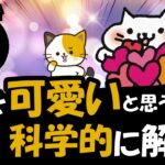 猫が可愛いと思うのは、きちんとした科学的な理由がある！その訳を解説