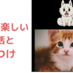猫との楽しい生活としつけのポイント