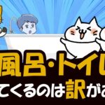 猫は水嫌いなのにお風呂やトイレについてくるのは5つの理由がある！その訳を解説