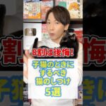 8割は後悔！子猫のときにするべき猫のしつけ5選 #猫 #子猫 #ねこ