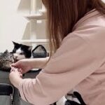 緊急事態のために猫にバックにインをしつけました♡
