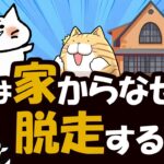 猫が脱走する3つの大きな理由と脱走対策を解説！