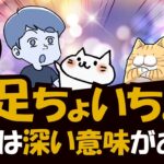 猫が前足で「ちょいちょい」するのはきちんとした意味がある！その訳を解説！