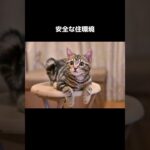 #猫の飼い方 #猫との生活 #ペットの健康 #猫のしつけ #安全なペット環境 #猫の食事 #新しい家族 #ねこちゃん #ペットケア #動物との暮らし
