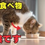 猫が絶対に食べてはいけないものランキング10を紹介