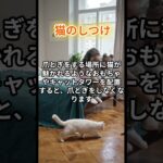 ねこのしつけ2