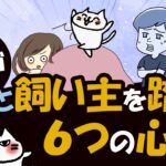 猫はなぜ飼い主をわざと踏むのか？6つの大きな理由を解説