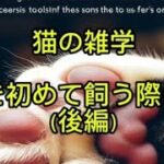 猫の雑学猫を初めて飼う際には（後編）