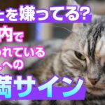 愛猫の選ぶ敵！？猫が教える嫌いな家族へのサイン
