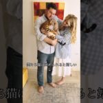 しつけ方法【猫の気持ち】#猫の気持ち #癒し動画 #猫との生活 #猫飼い主 #猫好き