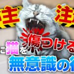 知らず知らずのうちに？猫を傷つける日常行動、飼い主が気をつけるべきこと
