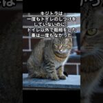 猫同士のしつけ#shorts #short #猫 #猫のいる暮らし