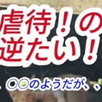 虐待の！逆た～い！母親猫のしつけ。