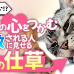 猫の尊敬のサイン！？愛猫が敬愛する人への独特な仕草とは