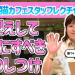 早ければ早いほど良い猫のしつけ4選