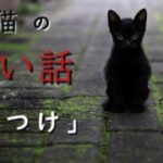 【怖い話】【朗読】【黒猫の怖い話】「しつけ」　投稿者　horiedon様　奇々怪々より