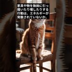 育て方を間違えた猫がとる行動＃６／執拗な物の破壊　#shorts #cat #保護