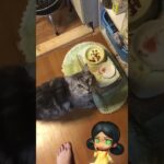 厳しいしつけだ！　　チロルと一杯さん