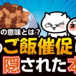 【驚き！】猫がご飯をねだる本当の理由！7つの隠された心理を徹底解説