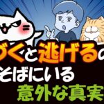 猫に近づいたら逃げるのに気づくとそばにいる、猫の不思議な心理を解説！